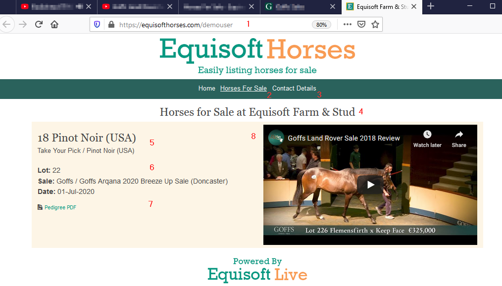 Edit Sale Horse DisplayWebsite Preview2020.png